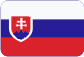 Mezinárodní přeprava Slovensky